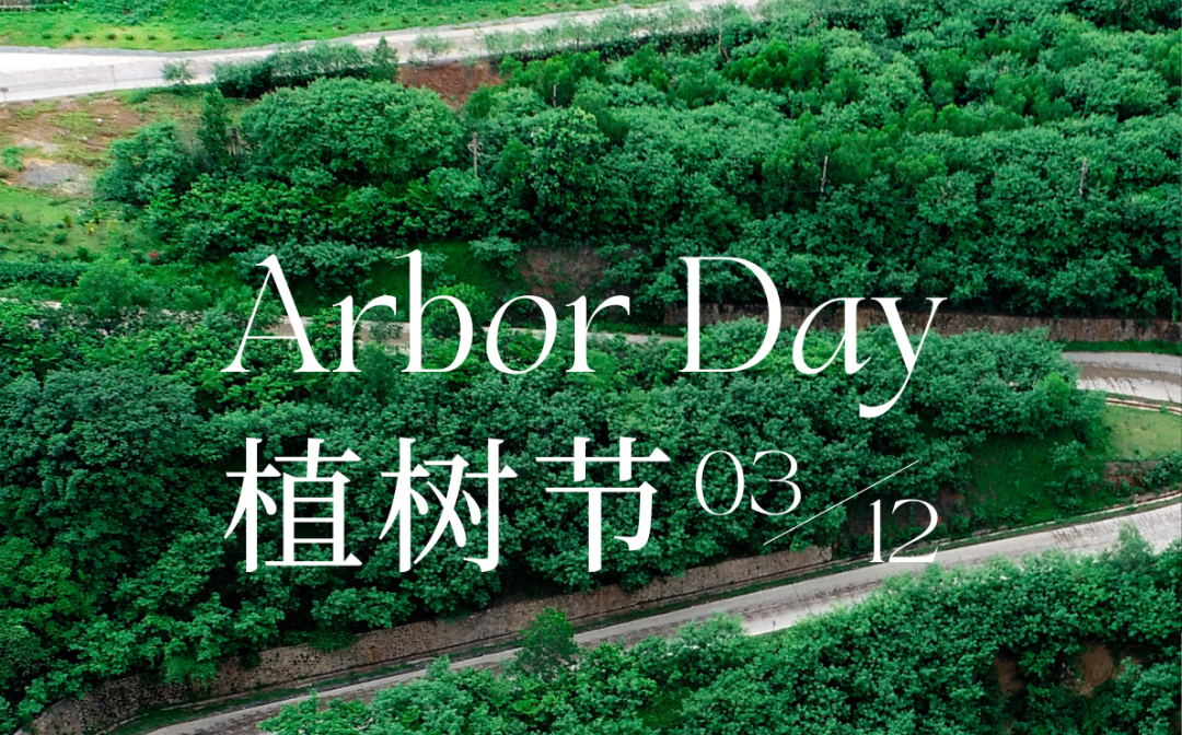 植樹節(jié) | 海南礦業(yè)的綠色畫卷